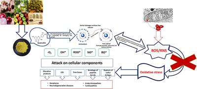 Relationship of quercetin intake and oxidative stress in persistent COVID